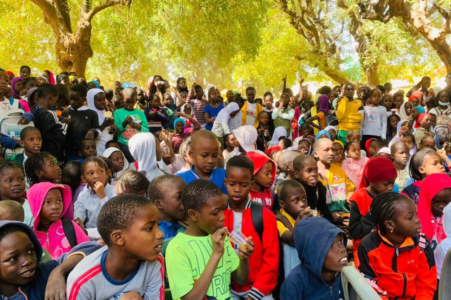 PHOTO-2025-02-03-13-25-53